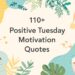 110+ Positive & Motivational Tuesday Quotes for Work, Happiness, and Inspiration 22 "Explore Related Quotes: Tuesday motivation quotes, good morning Tuesday motivational quotes for work, uplifting Wednesday, Thursday, Friday, Saturday & Sunday inspirational quotes, positive mindset quotes, daily motivation, Tuesday inspirational quotes."