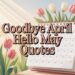 90+ Goodbye April Hello May Quotes, Blessings, and Prayers for a Fresh Start 26 "Feature image showing blooming tulips, sunlight, and a calendar flipping from April to May with text 'Goodbye April Hello May Quotes' symbolizing new beginnings, growth, and positivity for the new month."