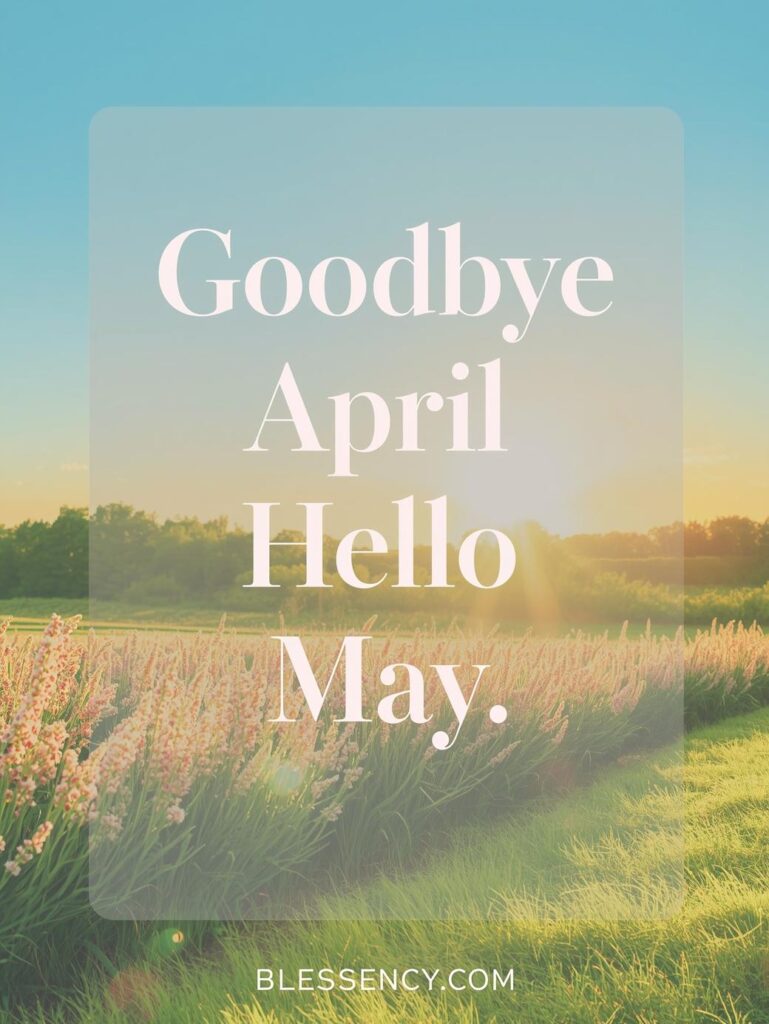 90+ Goodbye April Hello May Quotes, Blessings, and Prayers for a Fresh Start 12 "Goodbye April Hello May quotes in English with sunrise, blooming flowers, and motivational text for new month inspiration – Blessency.com"
