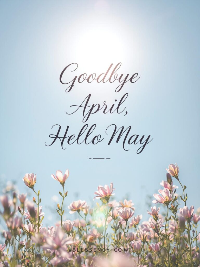 90+ Goodbye April Hello May Quotes, Blessings, and Prayers for a Fresh Start 11 "Goodbye April Hello May quotes image with spring flowers, sunlight, and motivational greeting text for new month inspiration – Blessency.com"